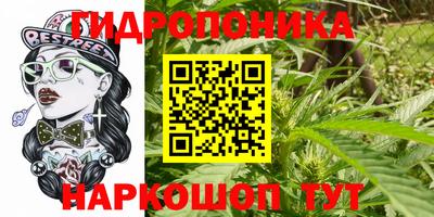 бошки Пугачёв