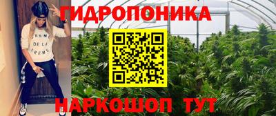 индика Пыть-Ях